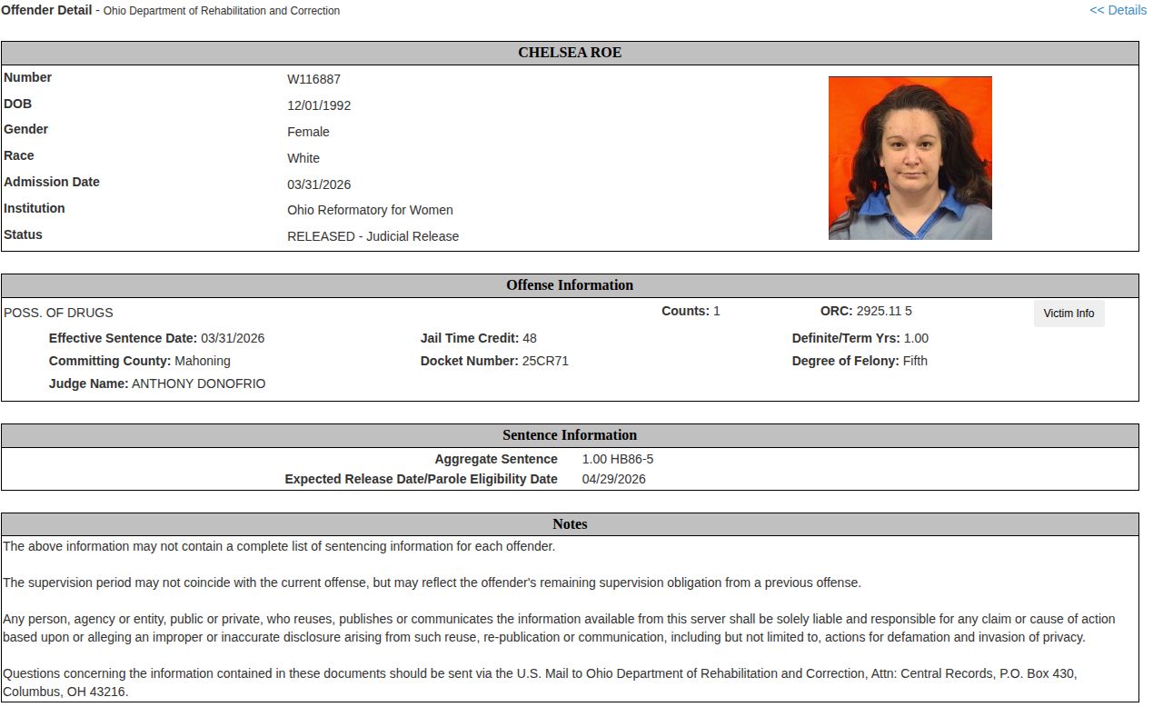 ODRC offender photo example for Lake County released inmate research